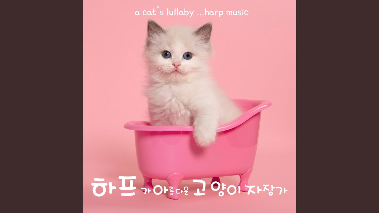 Sleduj Symphony No. 94: Surprise (하이든: 놀람 교향곡) na YouTube