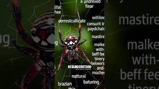 Terrifying Truths: The Deadly Brazilian Wandering Spider 🕷️💔