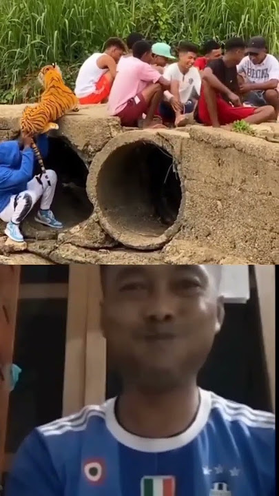 video shorts prank harimau,  lucu tahan ketawa #video #shorts #prank #hewan #lion