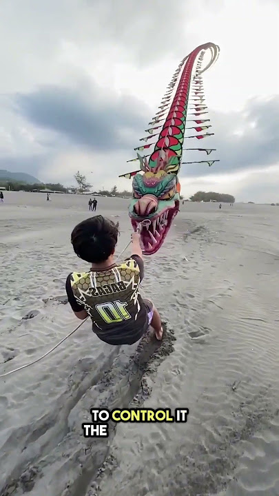 This Kite Is So Big, It Can Lift a Man 😯