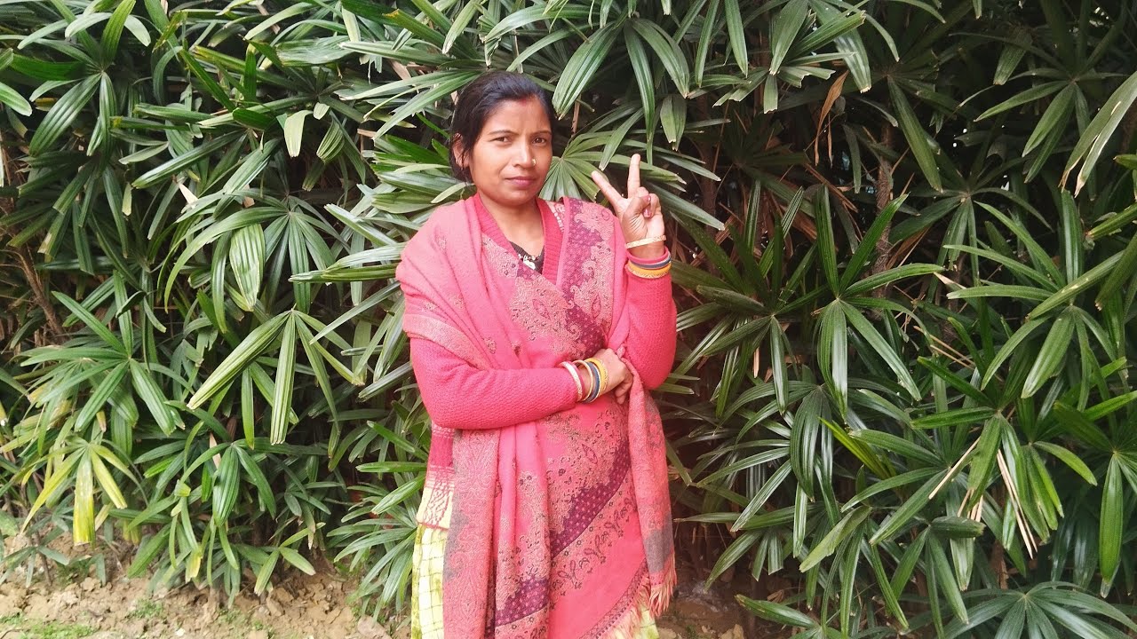 जो हमने सब्सक्राइब करता है लाइक करता है तो हम उनको सपोर्ट करेंगे