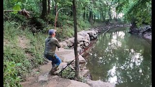 THERE CAN ONLY BE ONE APEX PREDATOR (TINY CREEK FISHING)