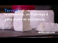 Ref:ALjIVtPNdJ4 Terroir : le chaource, un fromage � p�te molle et onctueuse