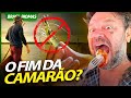 É O FIM DO CAMARÃO NO BRASIL! | RICHARD RASMUSSEN