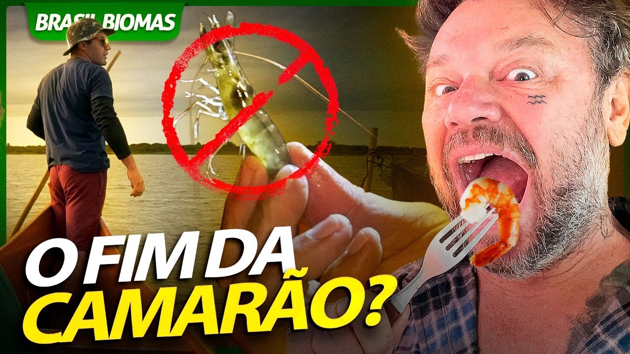É O FIM DO CAMARÃO NO BRASIL! | RICHARD RASMUSSEN