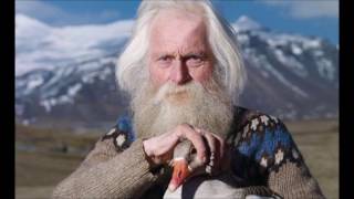 Iceland Home Delivery Promo