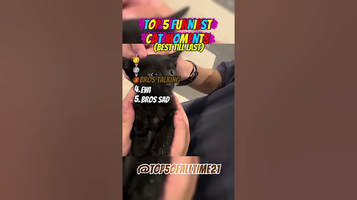 Video 10822191: best funniest cat