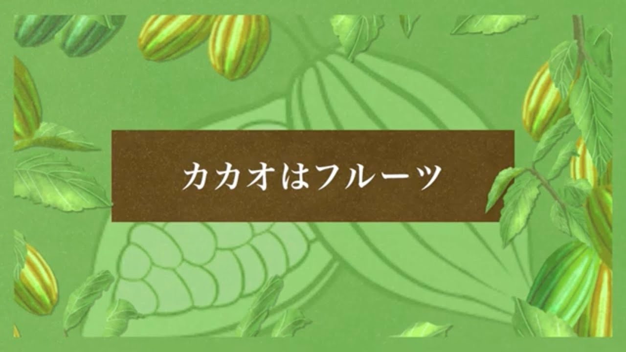カカオはフルーツ - YouTube