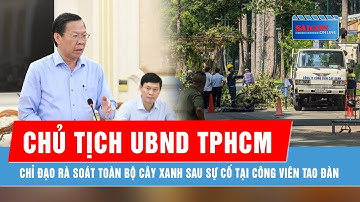 Chủ tịch UBND TPHCM chỉ đạo rà soát toàn bộ cây xanh sau sự cố tại Công viên Tao Đàn