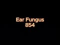 Ear Fungus Frequency Sound Healing Rife Hz