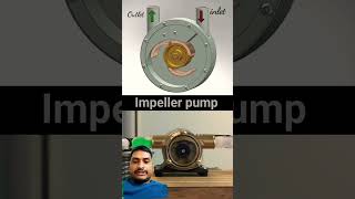 impeller pump working process 📚 #science #physicswallah #earthisbeautiful #impellerpump #impeller