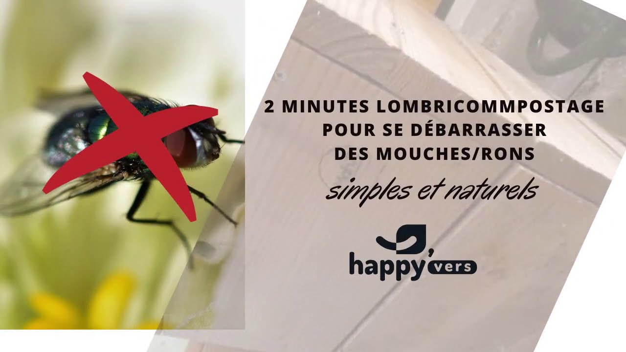Se débarrasser des moucherons en 2 minutes - YouTube