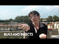 Weekly French Words with Lya - Bugs and Insects