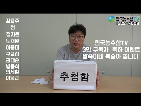 [한국농수산TV] 말숙이네 복숭아 10박스!! 한국농수산TV 3만 이벤트!! 결과발표