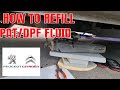 Citroen Dispatch Peugeot Expert how to change DPF REFILL PAT FLUID 2013 ON