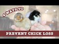 4+ Ways To Prevent Chick Loss | Temperature, Ingestion &amp; Disease | Raise Backyard Chickens For Eggs