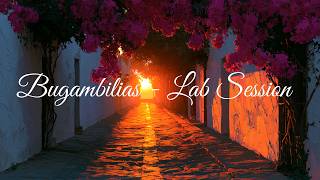 Bugambilias -  Lab Session | Serenata Romántica Visual | Festari Labs