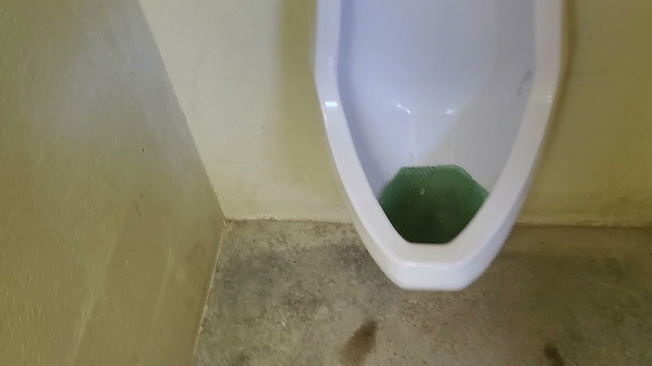 Lady bird Johnson Park men's restroom 2