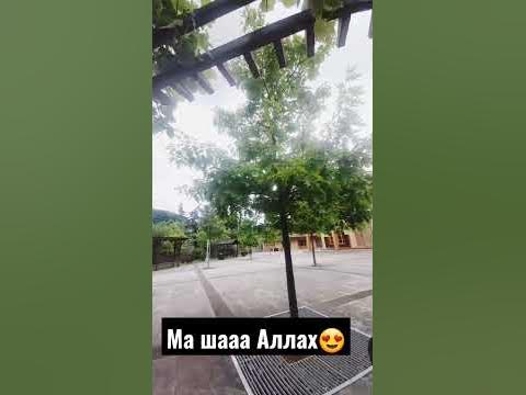 Турция🇹🇷Измит - YouTube