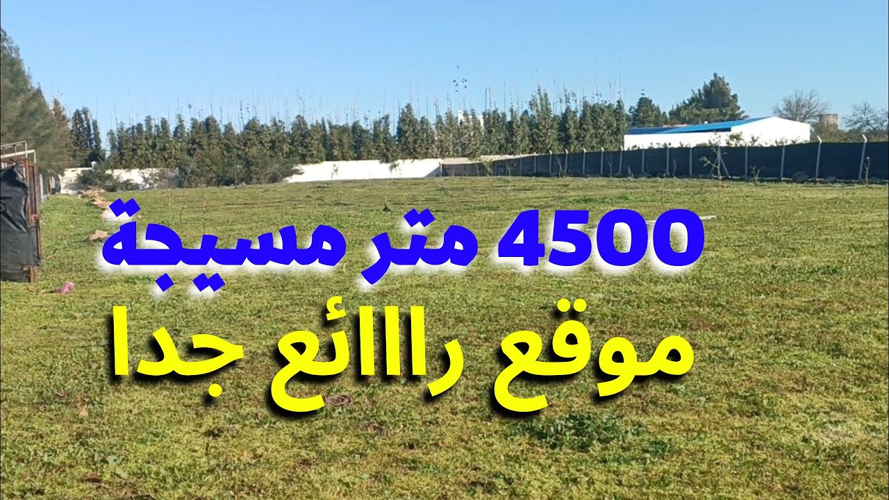 4500 متر مسيجة بمنطقة سيدي عياش نواحي القنيطرة رائعة جدا