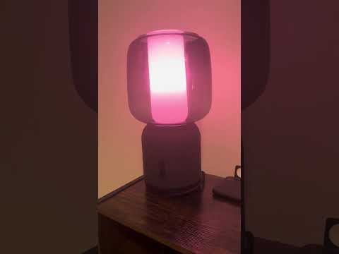 I Created The Best Lamp In The World