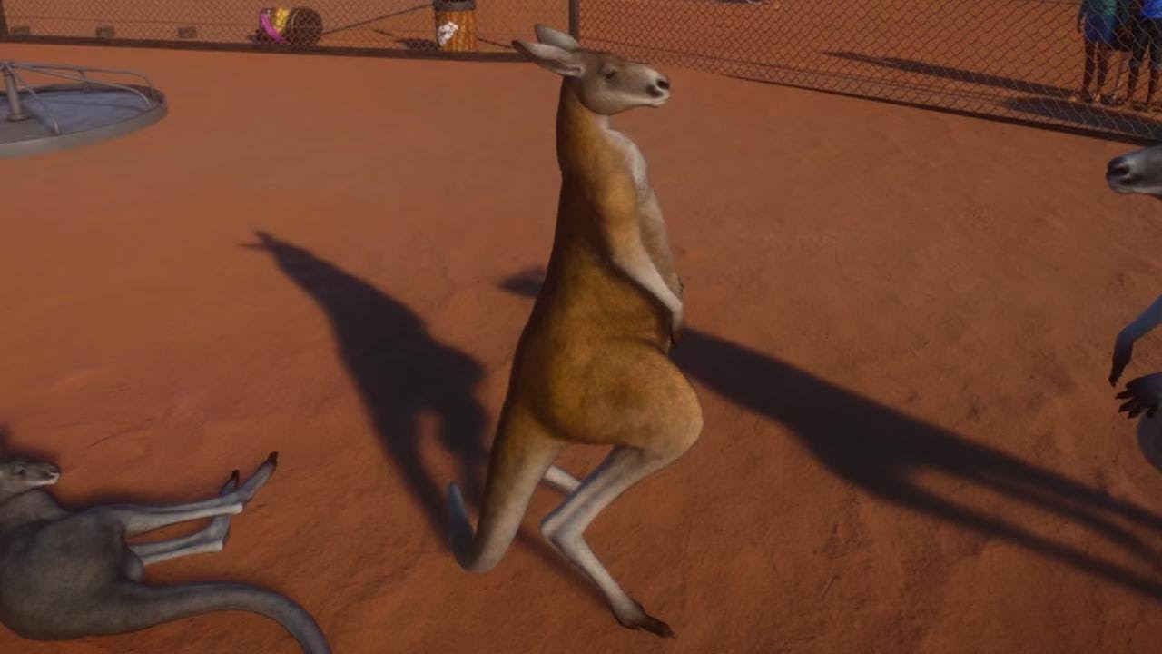Planet Zoo Australia Pack: Red Kangaroo