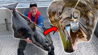 CHECK DE TANDEN VAN DIT ZEEMONSTER😱!! - HEILBOT vissen in Noorwegen screenshot 1