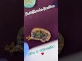 Some magnets for 4 Guys RV Park #resinart #epoxyresin #custommagnets #letsresin #kisrelUV
