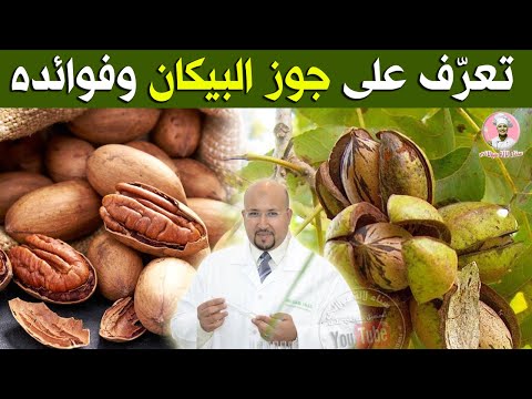 تعر ف على جوز البيكان    وفوائده مع الدكتور عماد ميزاب