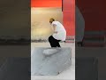 This japanese kid skates better than you pt 11 kotoramitani