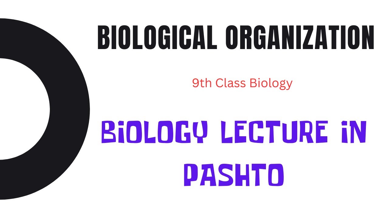 Biological Organization In Biology | Chapter 1 | Biology in Pashto | Basharat Ali Lectures
