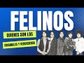 Los Felinos 🎶 - 😮Quienes son los verdaderos y originales???😮