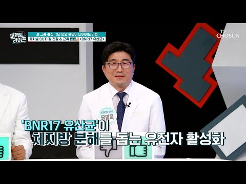 🤍BNR17🤍 체지방 축적을 방지해 다이어트에 도움을 주는 유산균 TV CHOSUN 250312 방송  | [퍼펙트 라이프] 231회 | TV조선