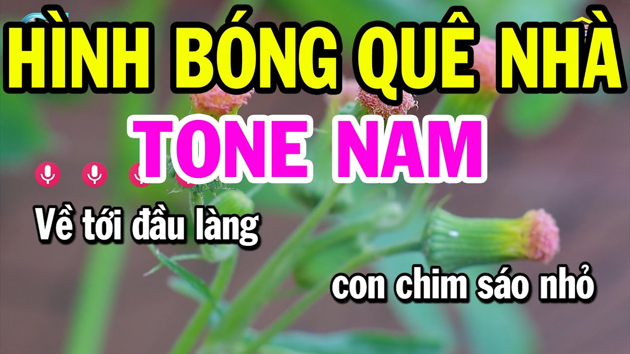 Karaoke Hình Bóng Quê Nhà Tone Nam ( Rê Thứ ) Nhạc Sống Phối Dễ Hát | Karaoke Bách Hóa