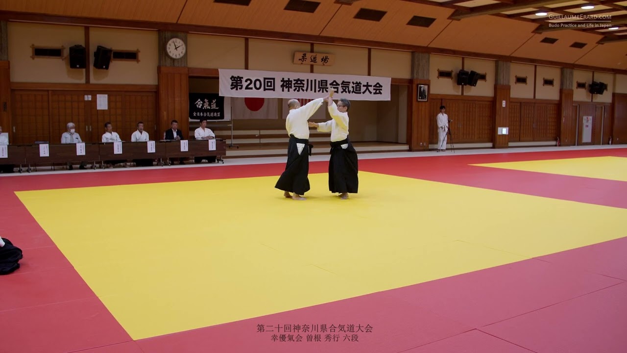 Hideyuki Sone, 6th Dan Saiwai Yukikai - 20th Kanagawa Prefecture Aikido Federation Demonstration