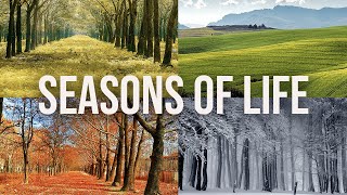 Seasons of Life – A game about the c — Blindflug Studios