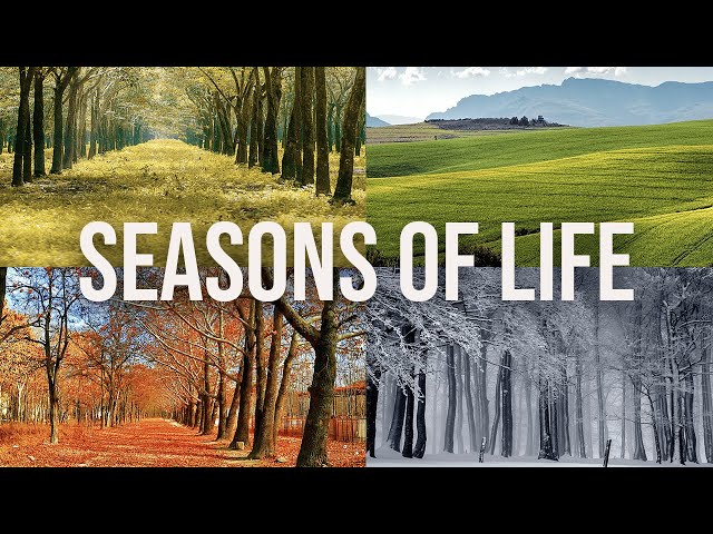 Seasons of Life – A game about the c — Blindflug Studios