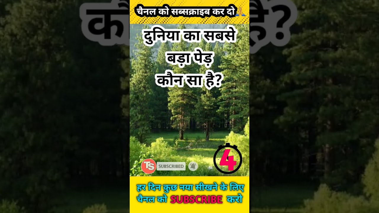 दुनिया का सबसे बड़ा पेड़ कौन सा है | World Gk | Hindi Gk | Gk