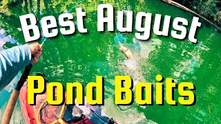 5 BEST August Pond Bass Fishing Baits | Top Summer Bass Pond Baits