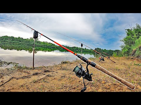 BEST American Carp Rod? - Catfish & Carp Rod (Whisker Seeker Tackle)