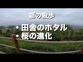 【ウォーキング】朝活散歩【田舎暮らし】(初心者) #世界ふれあい街歩き風