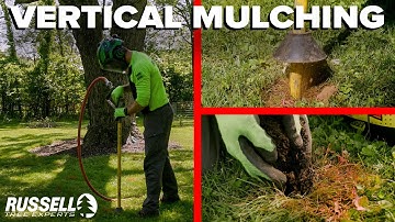 Vertical Mulching with an Air Spade!