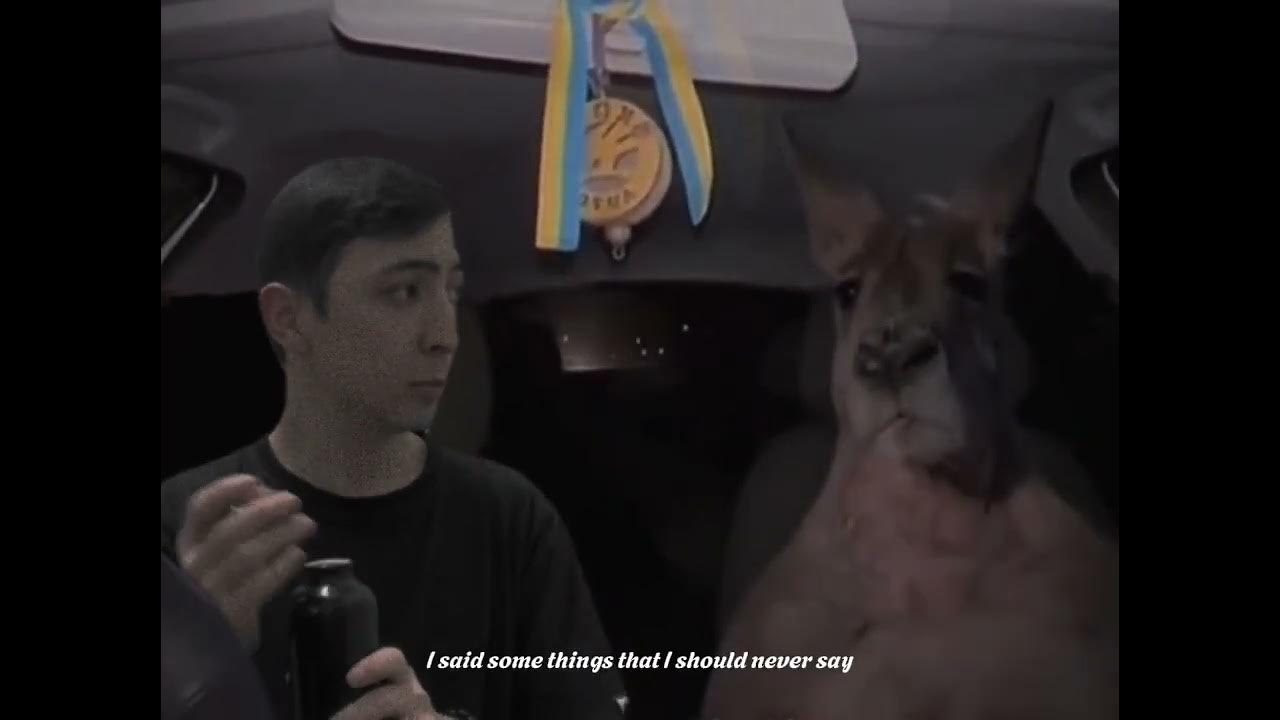 кенгуру прыгнул на машину, gangaroo jump in car, the wknd - YouTube