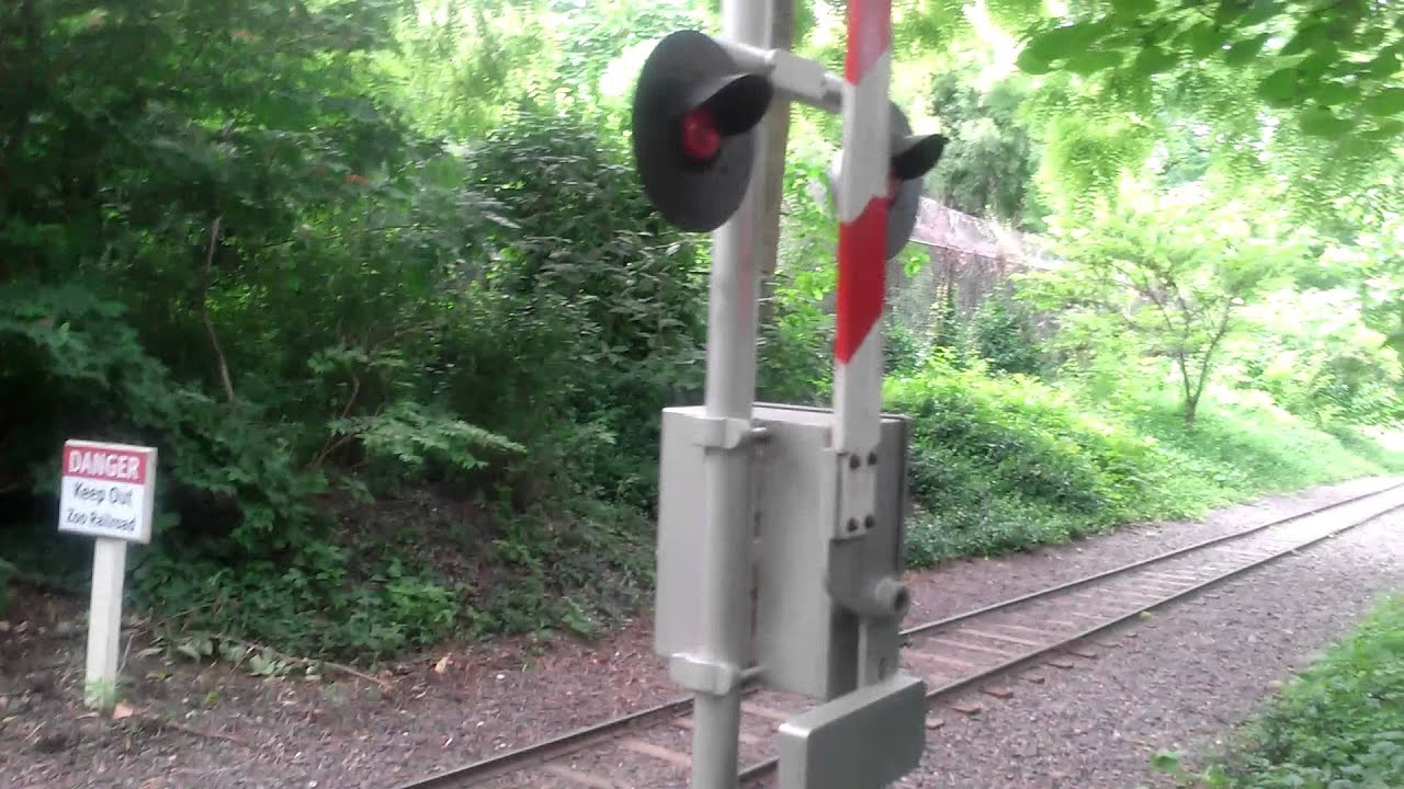 Forest Railroad Crossing, St Louis Zoo, MO (75k+ Views!) - YouTube