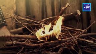 Shikshta Hai Pehlu Akeli Zehra S.a. Islamic Status5 14402019