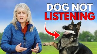 4 Tricks Dog Trainers Use to Calm Dogs