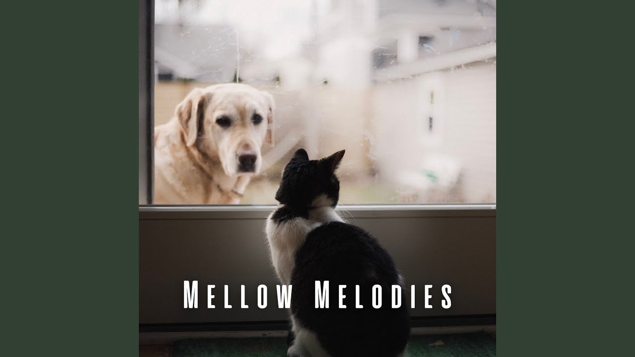 Piano Duets with our Furry Friends