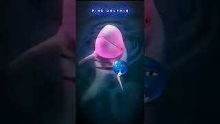 Rarest animals world 🌎🤯💥 // #wildlife #trending #shortvideo #youtubeshorts @total funny 01 #viral