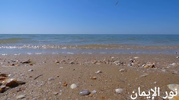 سورة نوح بصوت الشيخ مصطفى مطير وتلاوة تهز القلوب