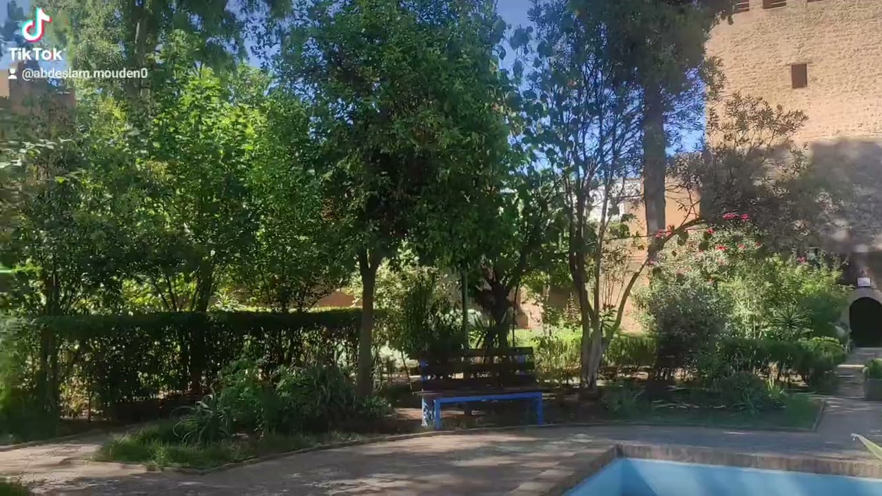 Rifwalks Travel Agency.Visita Guiada